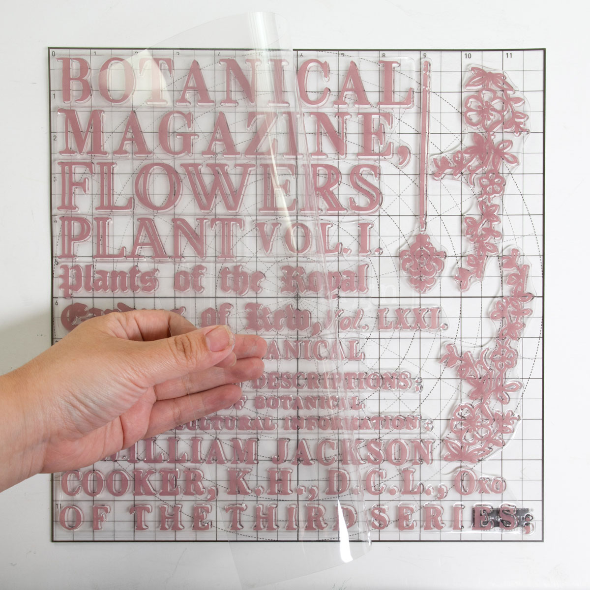 Redesign Decor Stamp – Botanical Encyclopedia – 12″x12″ (12 pcs)