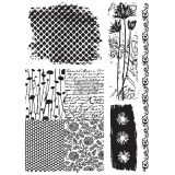 Redesign Adhesive Transfer - Nature & Scripts 18"x24"