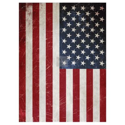 Redesign Décor Transfers® – America size 23″x 30″