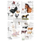 Redesign Decor Transfers® - Farm Life - total sheet size 24"x35"