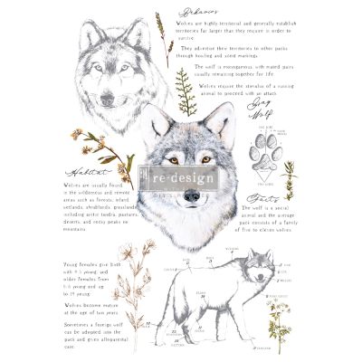 Redesign Decor Transfers® – Gray Wolf – total sheet size 24″x35″, cut into 3 sheets