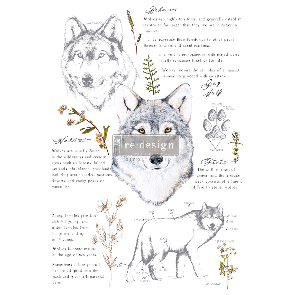 Redesign Decor Transfers® – Gray Wolf – total sheet size 24″x35″, cut into 3 sheets