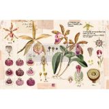 Decoupage Decor Tissue Paper - Purple Beauty - 1 sheet