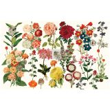 Redesign Decoupage Décor Tissue Paper - Forest Garden - 1 sheet