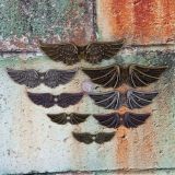 Mechanicals - Winged