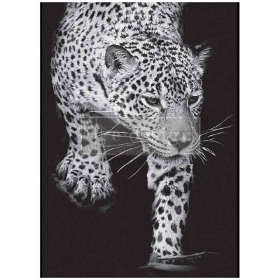 A1 Decoupage Fiber – Feline Gaze –