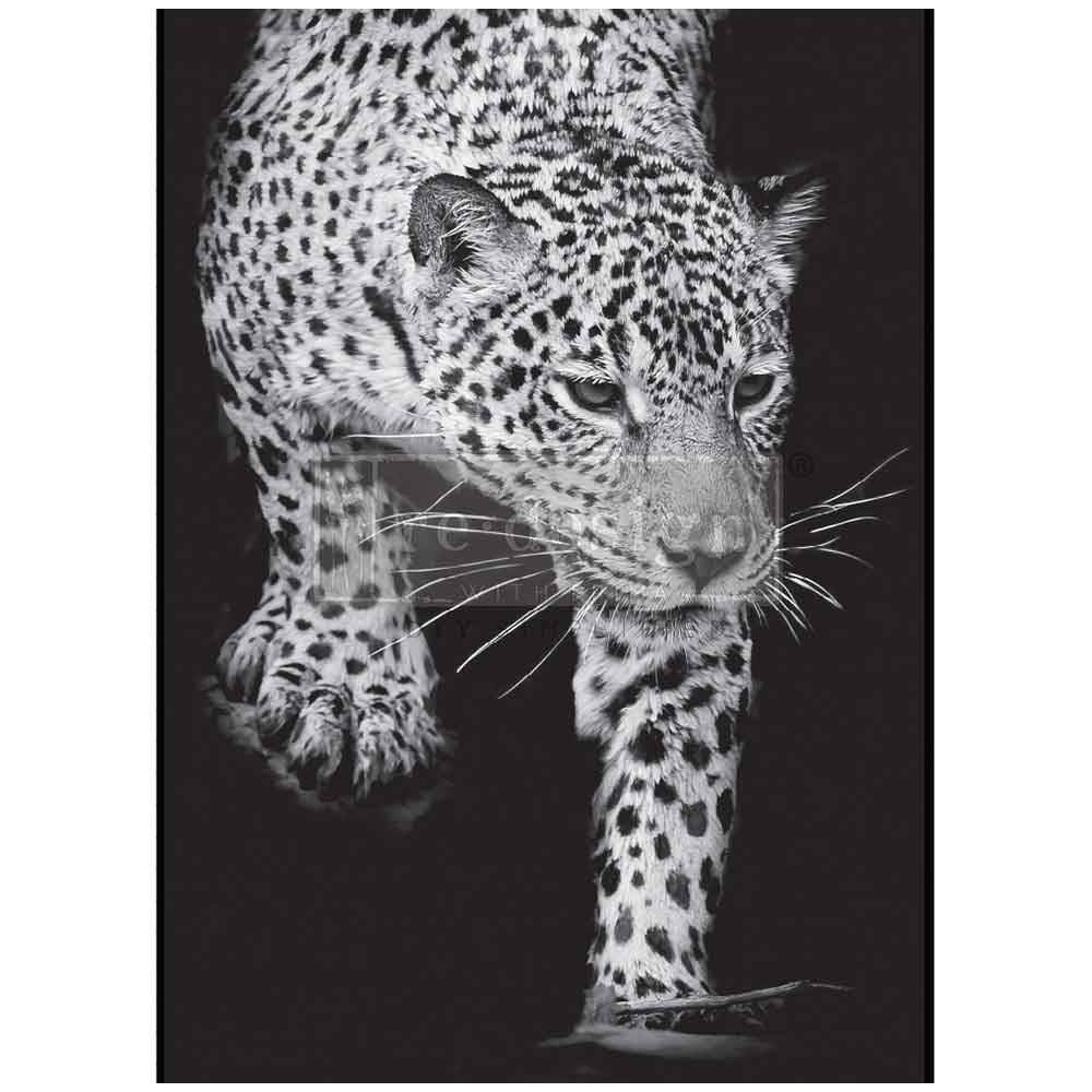A1 Decoupage Fiber – Feline Gaze –