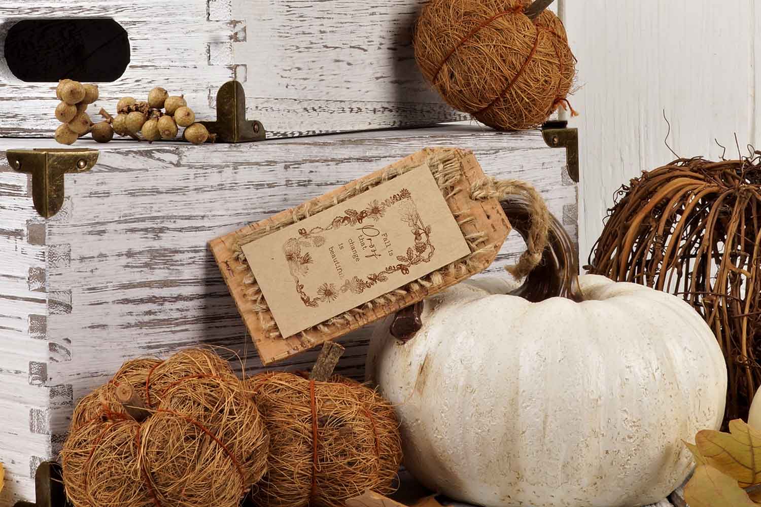 Decor Clear Stamp – Fall Sweet Fall – 8.5×11 sheet size