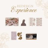 website-graphic-rd-experience