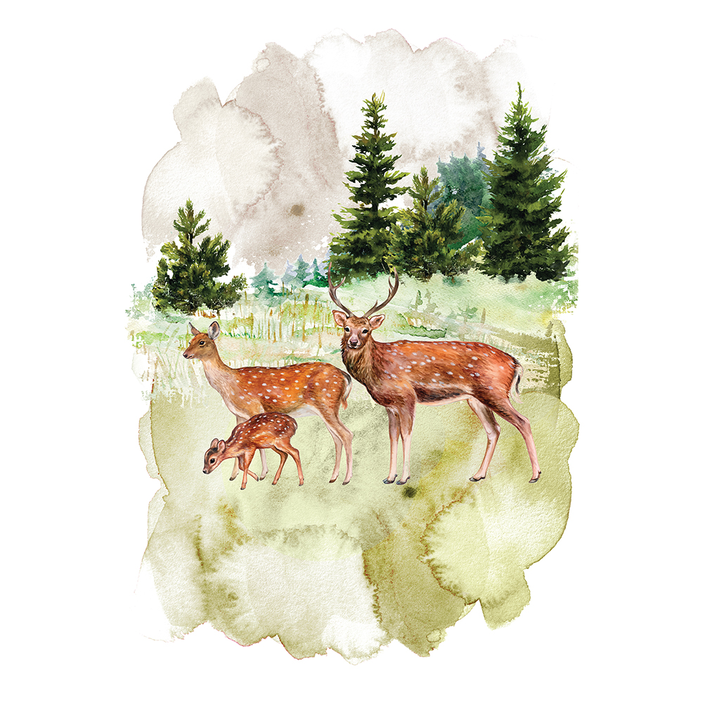 Redesign Décor Transfers® – Fauna 24″x35″
