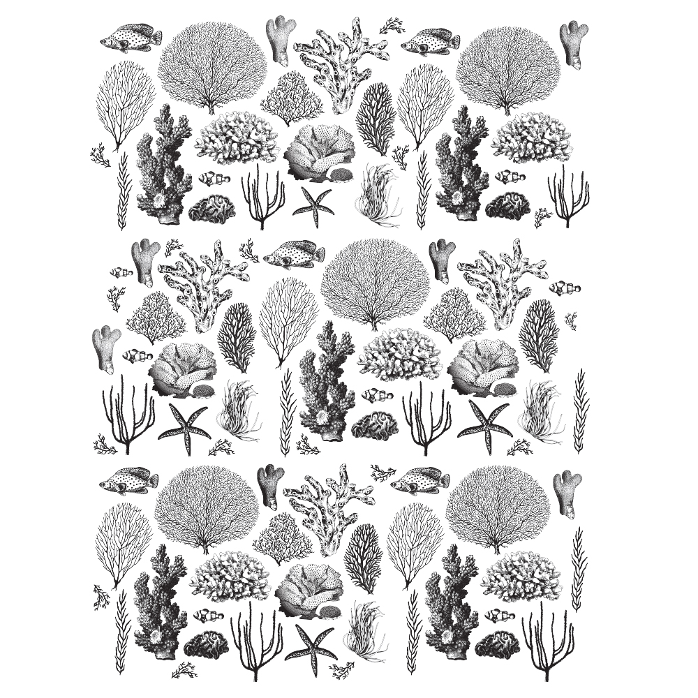 Redesign Décor Transfers® – Coastal Sea Life 24″x32″